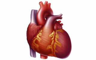 Давит в области сердца: тревожный симптом или безобидное «защемление» нерва?