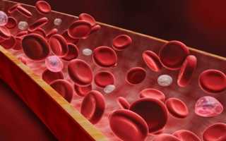 Что происходит в организме, когда повышается вязкость крови?
