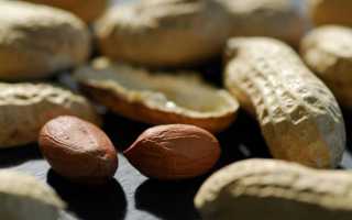 Аллергия на арахис: причины, симптомы, лечение и профилактика