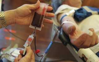 Всё о донорстве в Германии: кто может сдавать кровь и сколько платят донорам